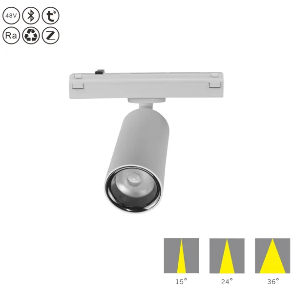 LED Magnetic Track Light