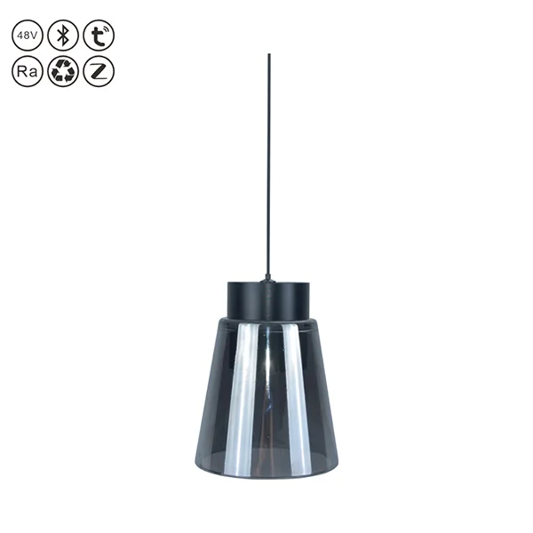 Hanging Magnetic Track Light