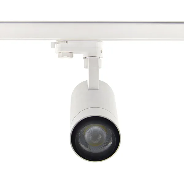 Zoomable Track Light