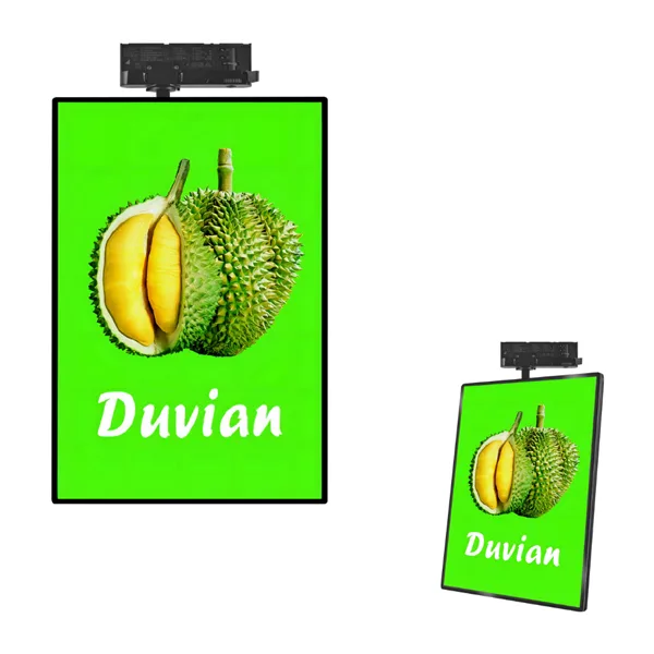 Advertising Light Box
