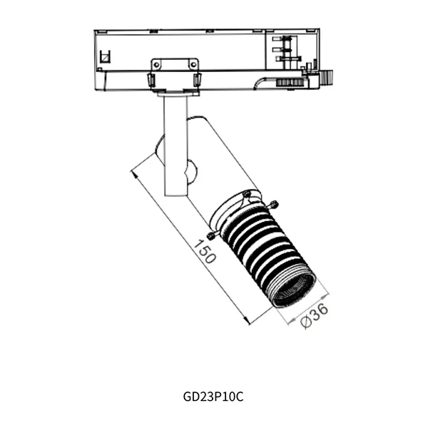 Profile Track Spotlight