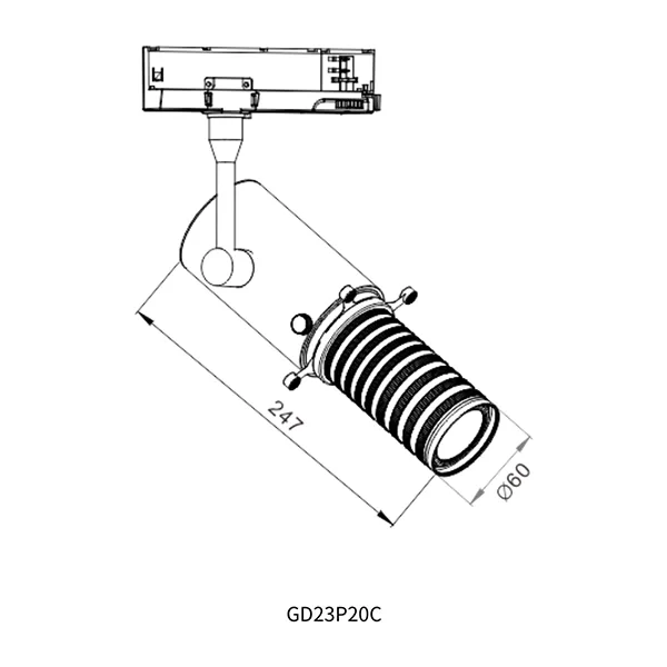 Profile Track Spotlight