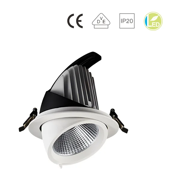 LED Down Light