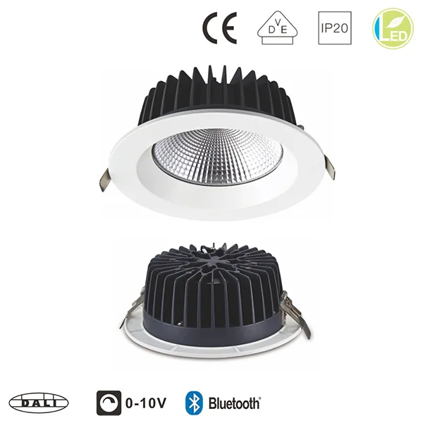 LED Down Light