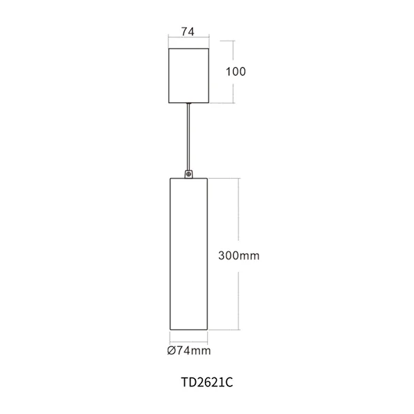 Indoor LED Pendant Light